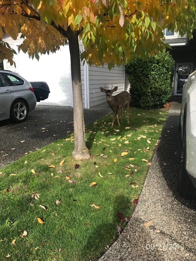 Photo - 1511 Burrows Ct