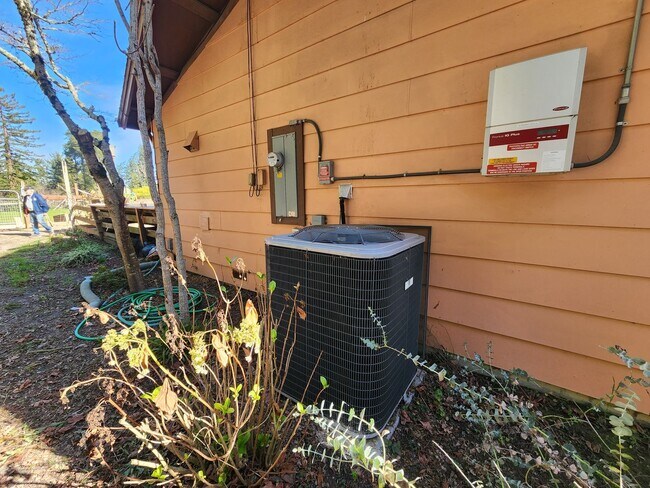 Photo - Country Property in Sebastopol