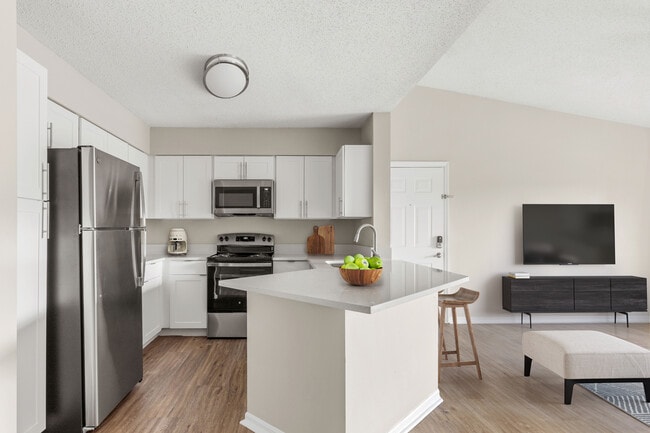 Kitchens featrure modern stainless-steel appliances, granite-inspired countertops, and stylish finishes designed for comfort and convenience - Pine Lakes Preserve