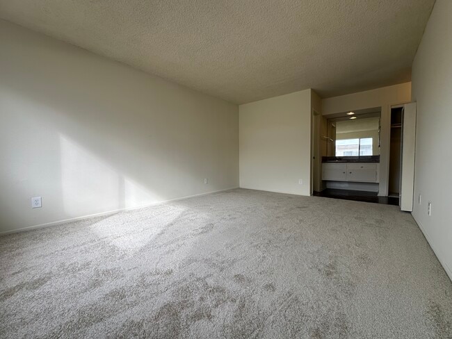 10006 Palms Blvd
