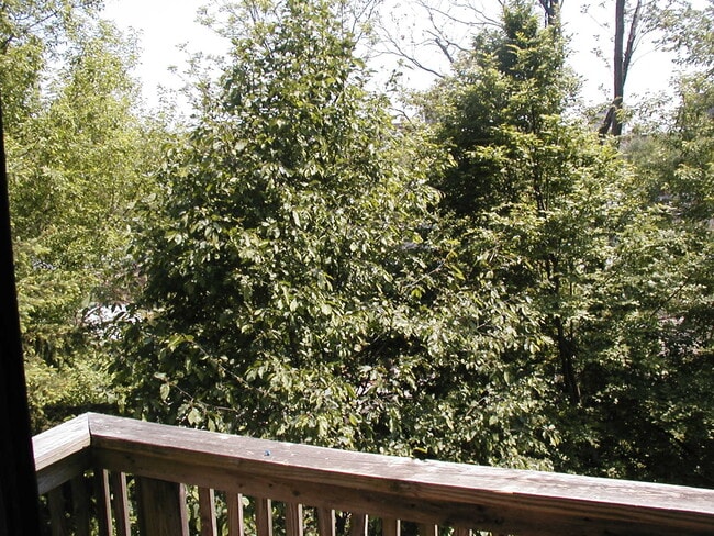 back balcony view - 293 Hiscock St Unidad 1