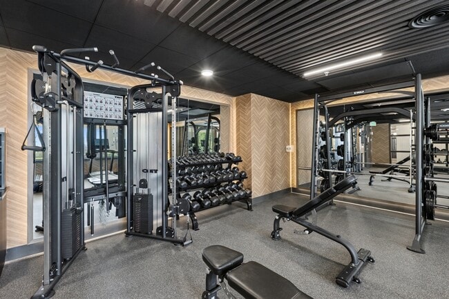 Photo - Wrenmoor LoHi