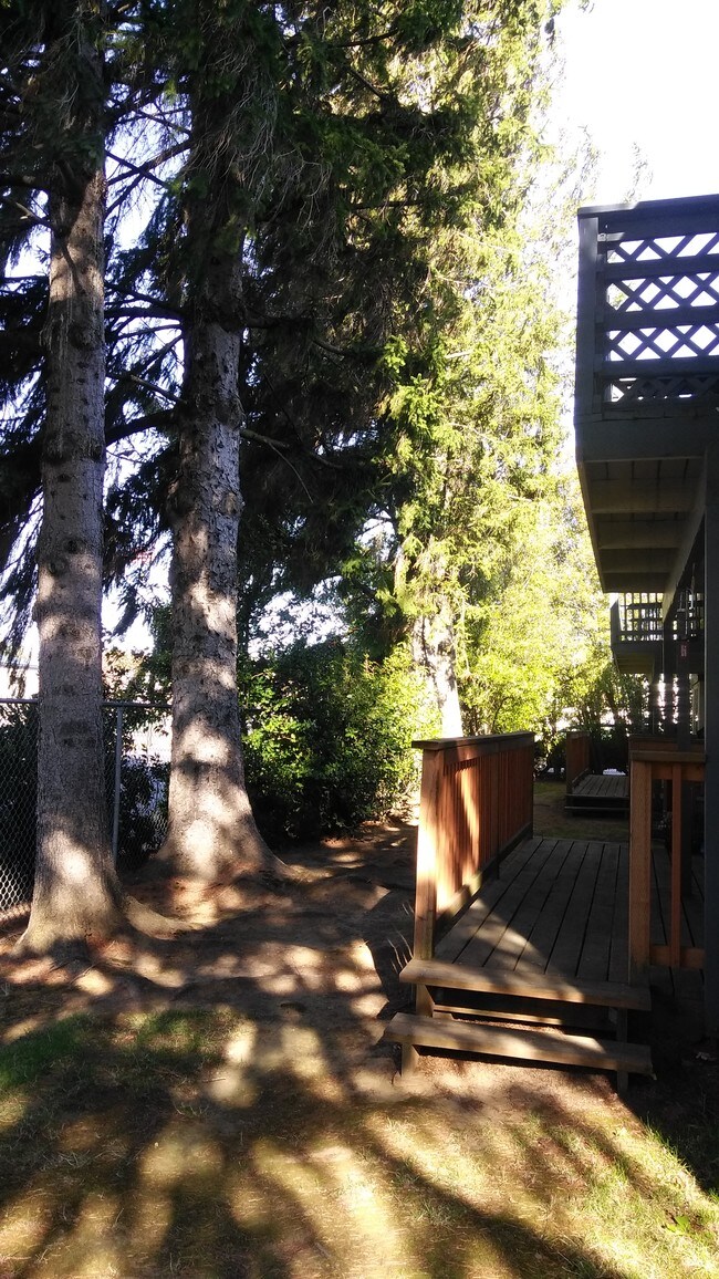 Photo - Linden Apartments