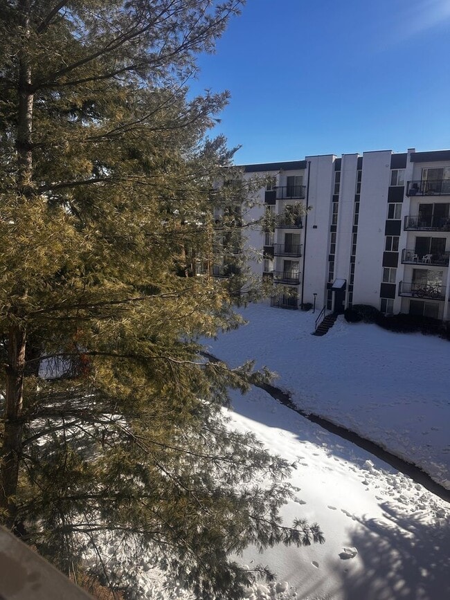 Building Photo - Charming 1 Bedroom 1 Bathroom Condo In Much Sought After EOS-21