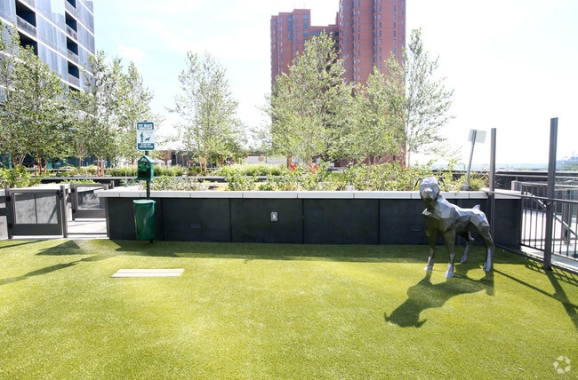 Dog Park