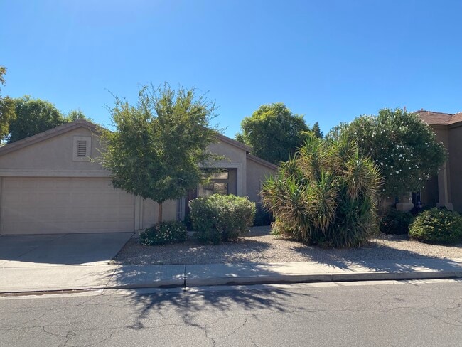 Building Photo - 763 W Canary Way Rental