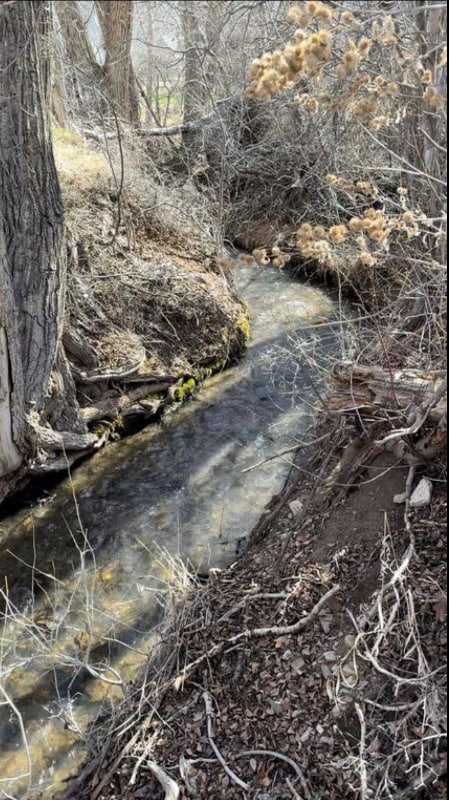 Photo - 68 Martinez Rd