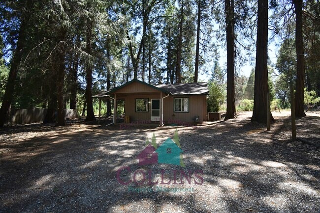 Building Photo - 11071 Cedar Ridge Dr Rental