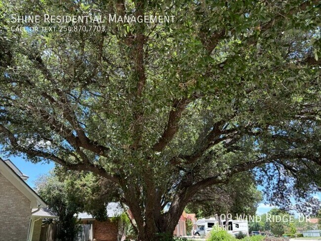 Photo - 109 Wind Ridge Dr