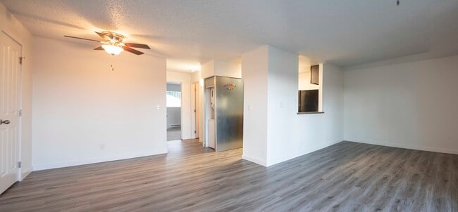 Photo - Northern Lights