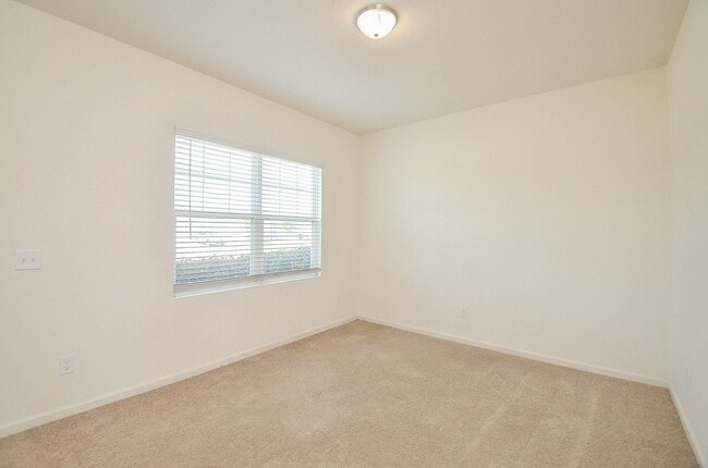 Photo - 1013 Banyon Tree Ln