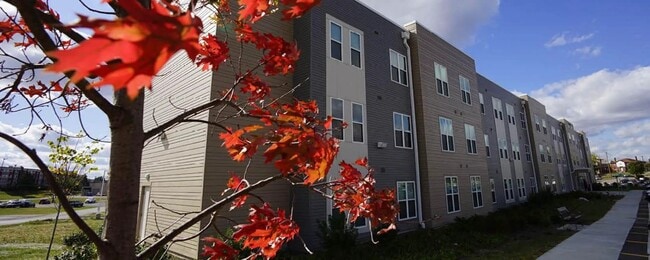 Photo - 1811 Losantiville Ave