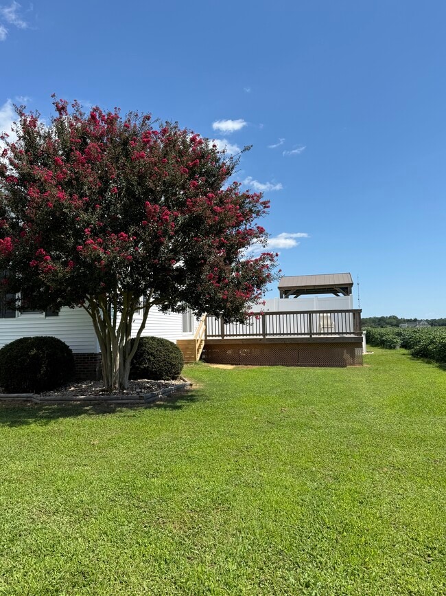 Photo - 105 Ainsley Rd