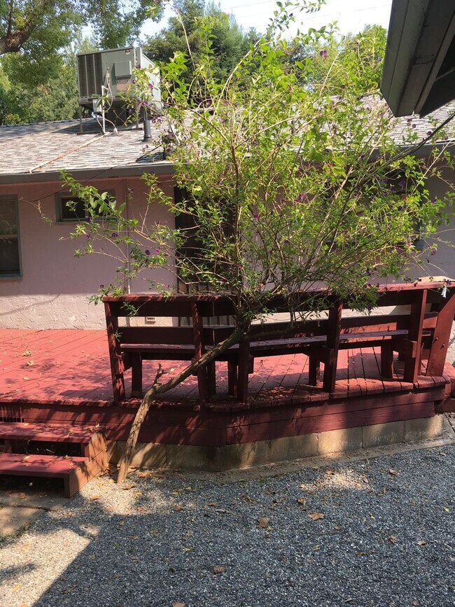 Garden Tract Redding Ca Fasci Garden