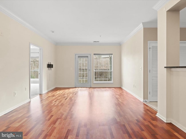 Living Room - 4860 Eisenhower Ave Unit 292