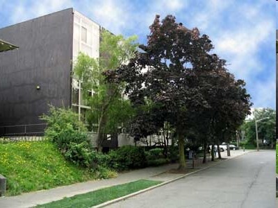 Photo - Marlene Renee Apartments