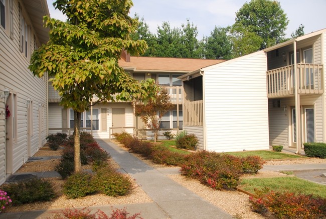 Evergreen Terrace - Evergreen Terrace Apartments