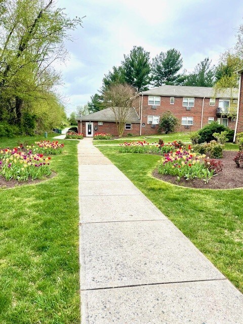 Pine Hill Apartments