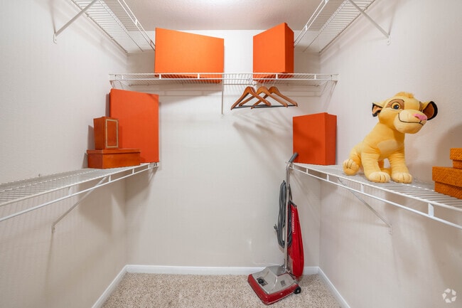 2BR, 2BA - 1065SF - Master Closet