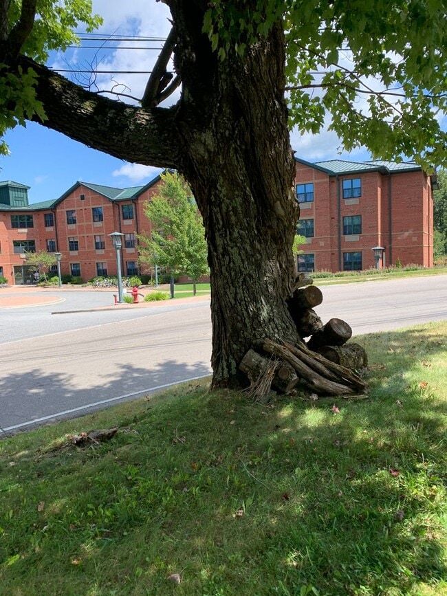 Photo - 718 Poplar Grove Rd