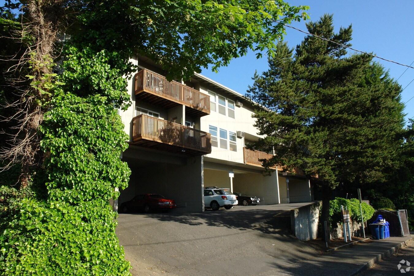 Photo - Portland Ironwood