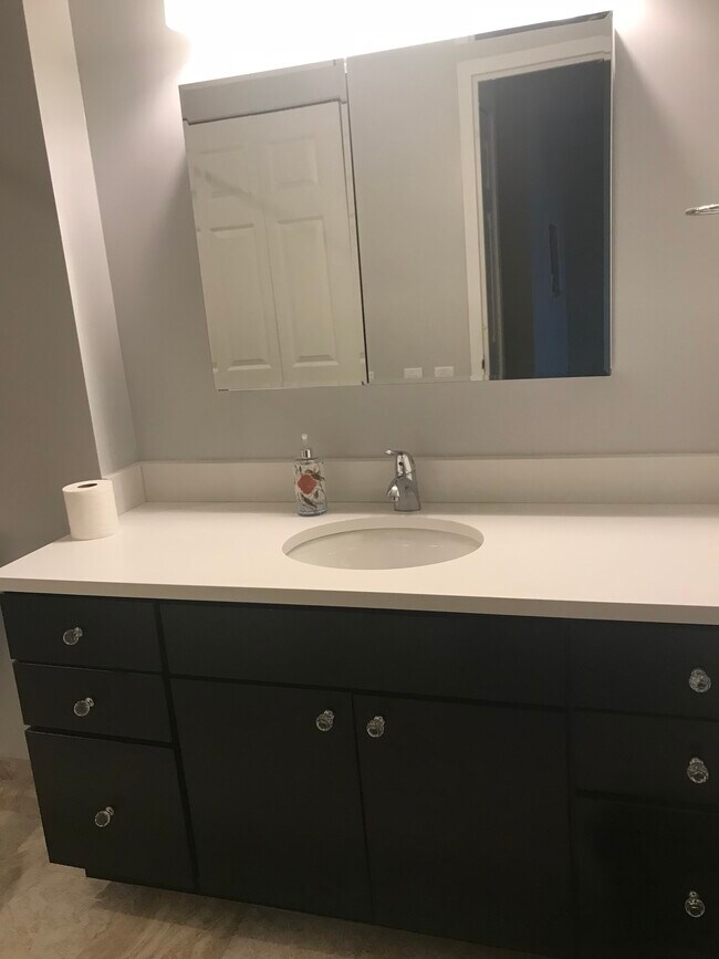 Updated bathroom - 1420 Locust St Unit 37L