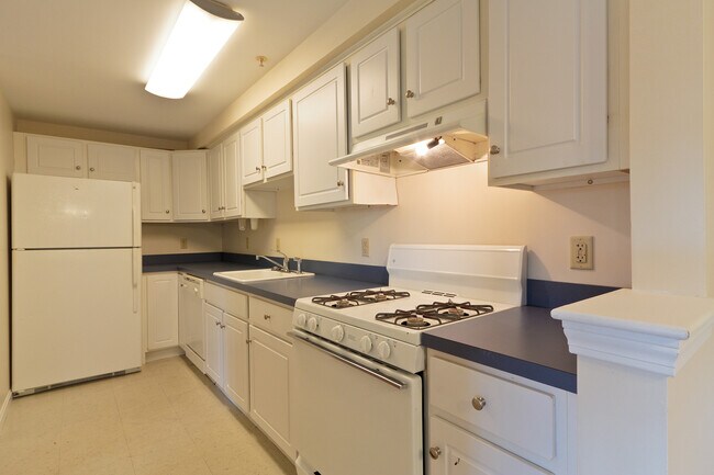 Photo - Stony Brook Village