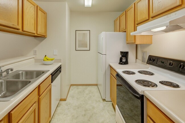 Photo - Strawberry Lane