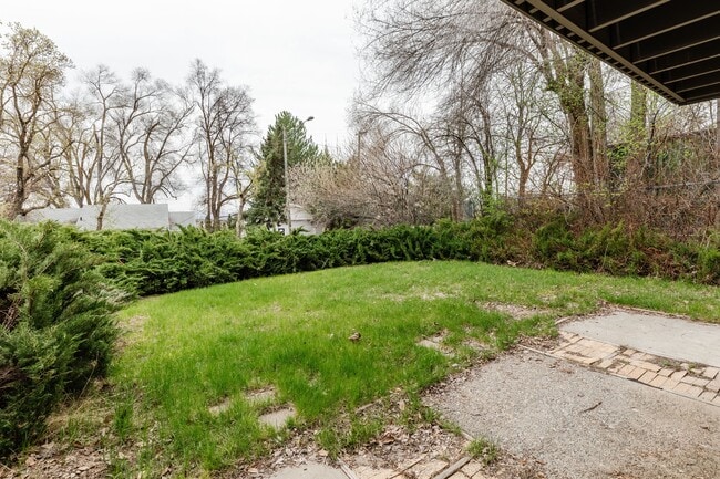 Your own Private yard - 815 Orchard Dr
