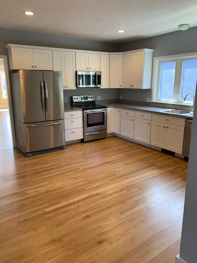 Building Photo - 539 Southbridge St Unit 3 Rental