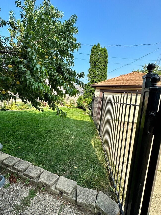Back Yard - 3508 S Pine Ave