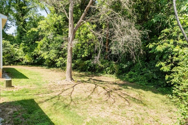 Photo - Nice 1 bed/1 bath duplex minutes from downtown Raleigh