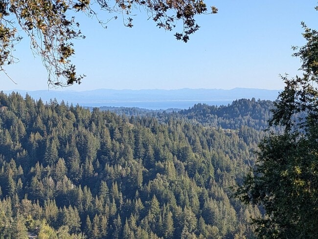 Photo - 23554 Mountain Charlie Rd