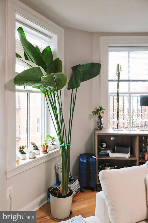 Photo - 1734 Bolton St