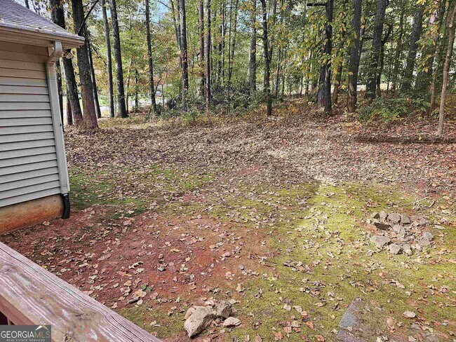 Photo - 1955 Morgan Trce