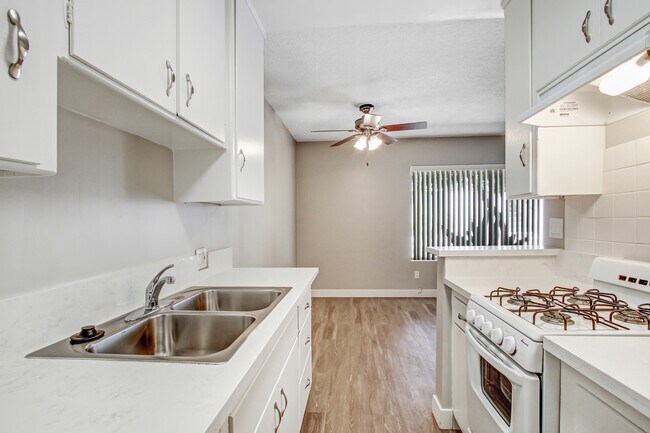 Photo - The McLaughlin Avenue Apartments