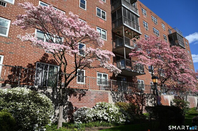 Photo - 27 Northill St Unit 6U