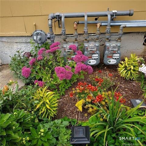 Photo - 232 Kelsey St Unit 1