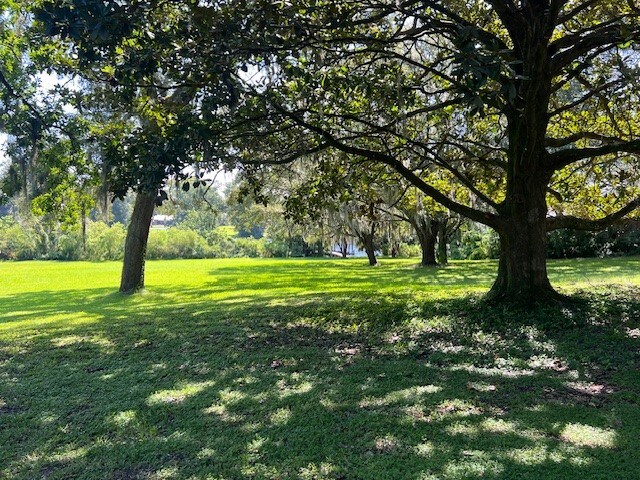 Photo - 2109 Hyde Park Rd