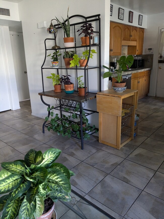 Photo - 4365 N La Osa Way