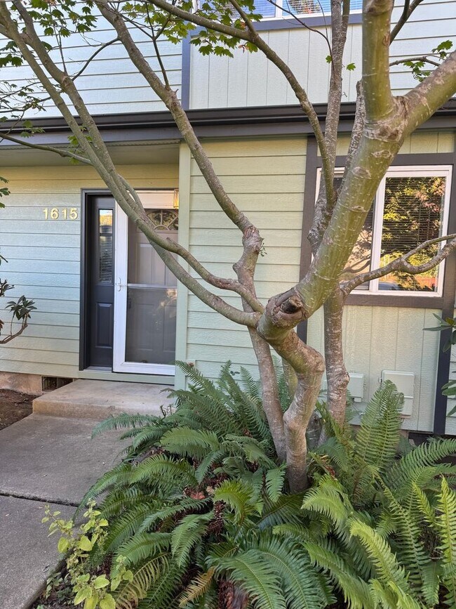 Building Photo - 2-Bedroom, 1.5-Bath Sunset Meadow Townhous...