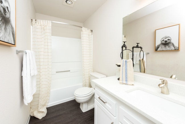 Remodeled Bathrooms with Dual Sinks