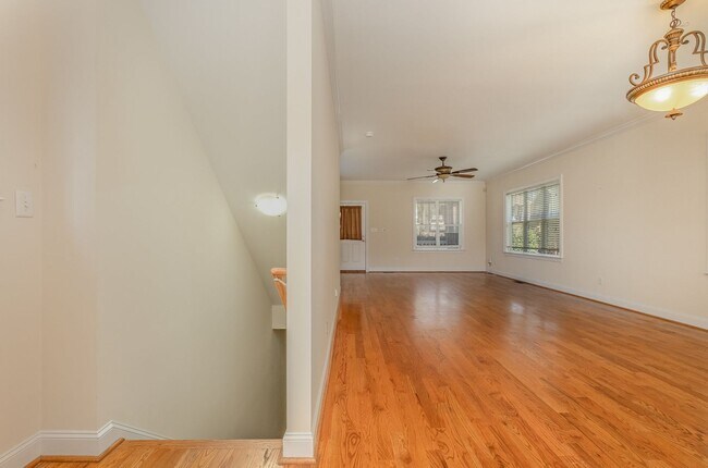 Photo - AVAILABLE TO SHOW!