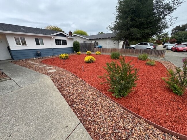 Photo - Beautiful 4 Bedroom House Available Now!