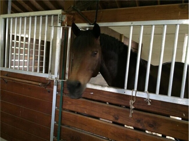 Photo - 4554 Palm Breeze Trail