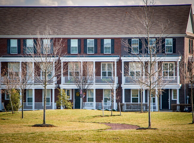 View from Terra Park - 2B Ellington Road