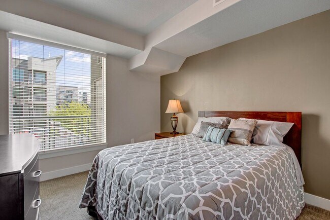 Photo - Velo on the Boulevard