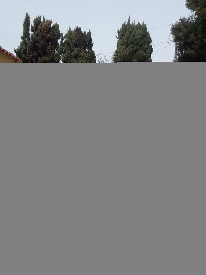 Photo - 1634-1638 23rd Ave