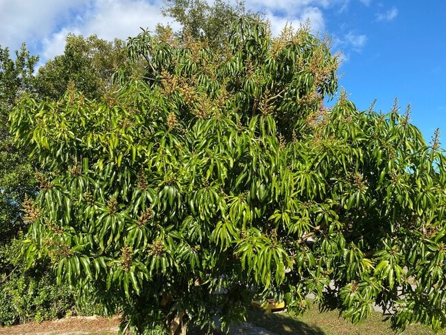 Photo - 3/2/2 great location