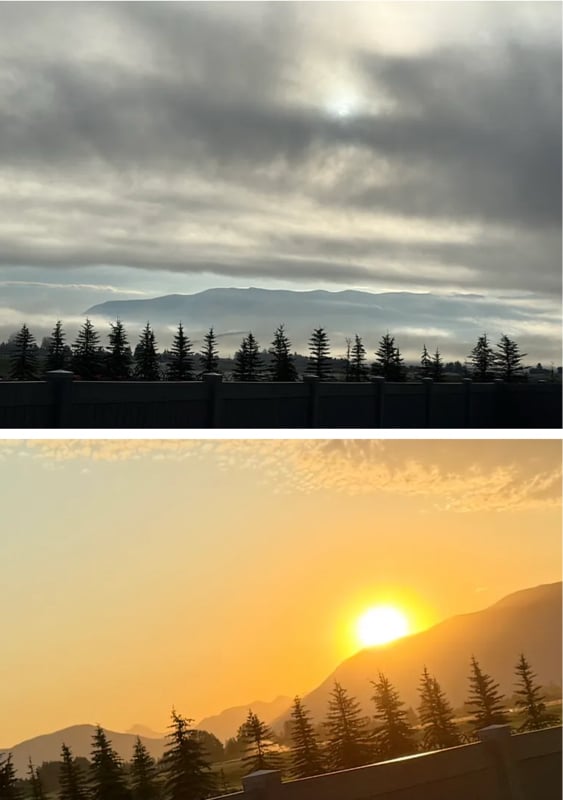 Photo - 3431 Goldenrod Ln